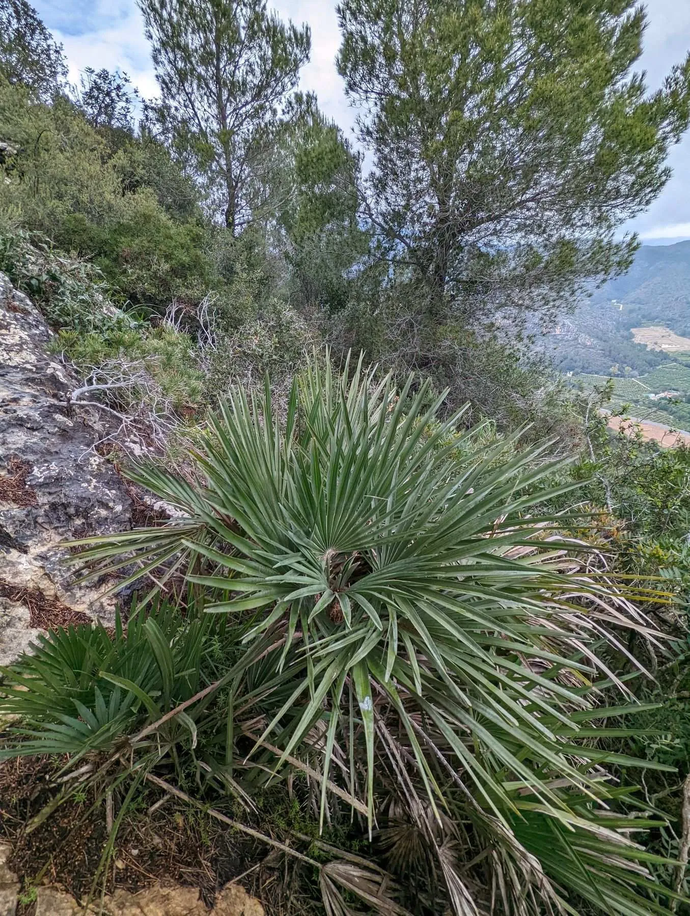 Local hiking Marxuquera